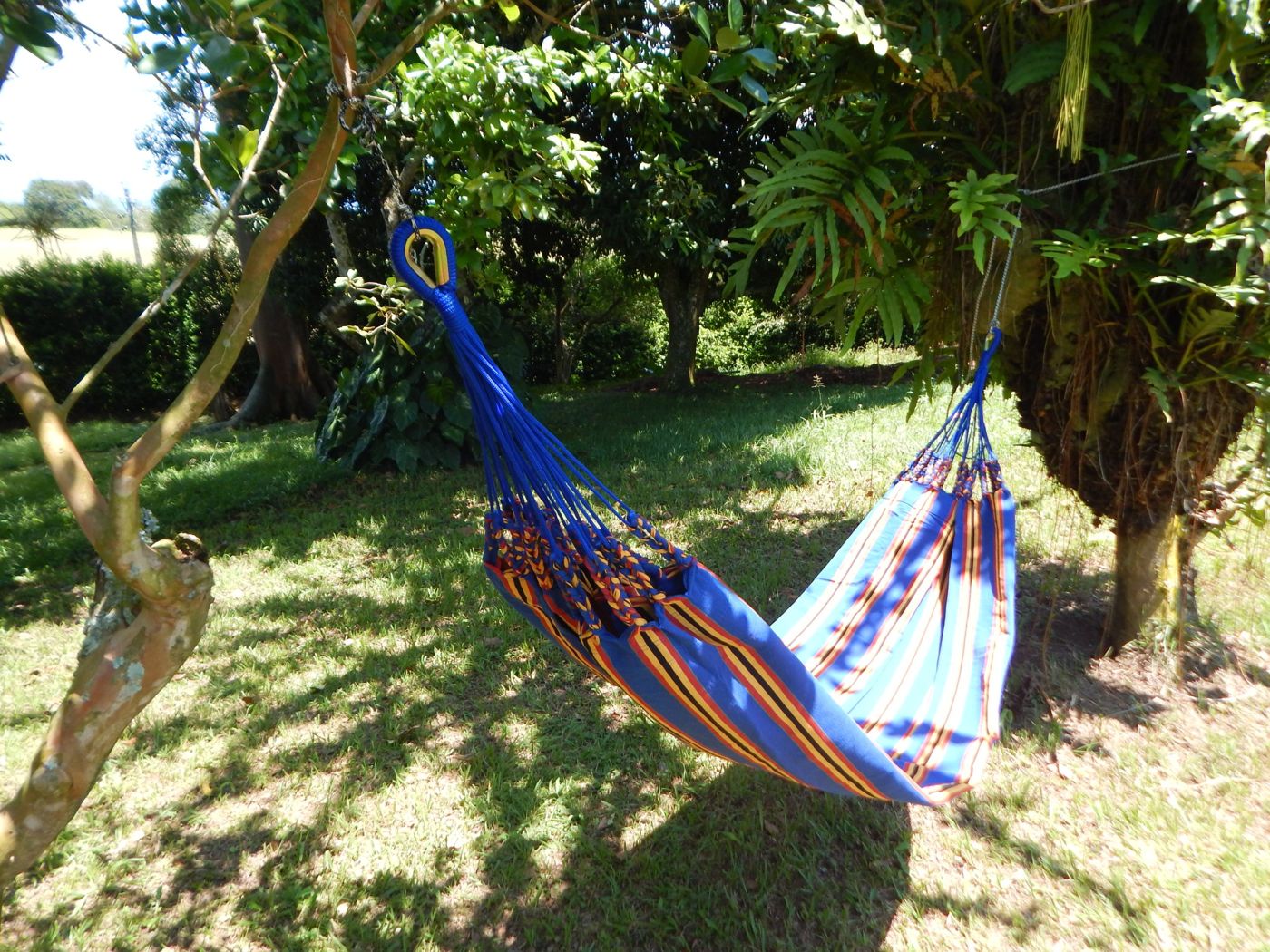 Hamaca azul en un jardín
