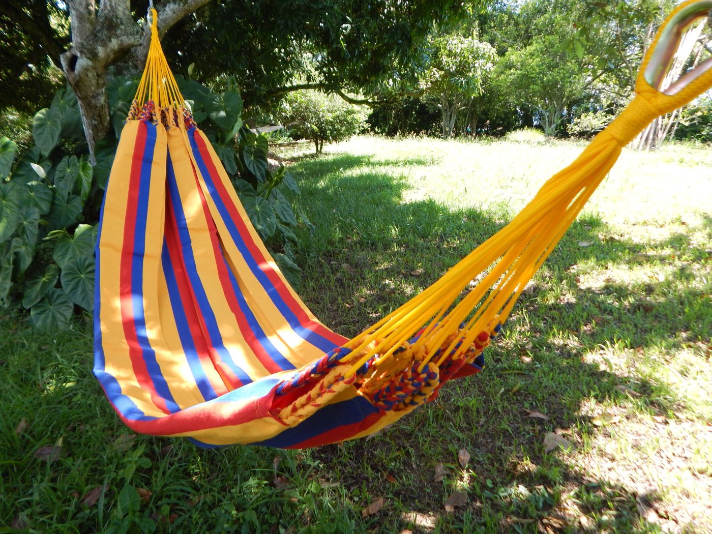Hamaca tricolor bajo un árbol